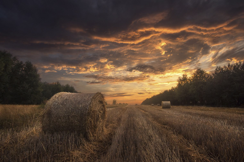 Fotografia Krajobrazu - Michał Włoch